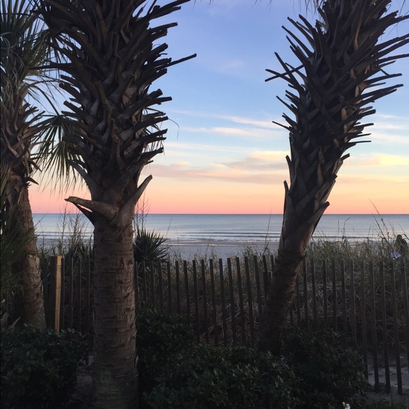 Meet your Posher, Chloe - Picture 1 of 1